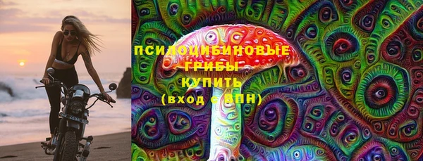mdpv Кодинск