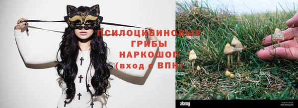 синтетический гашиш Козельск