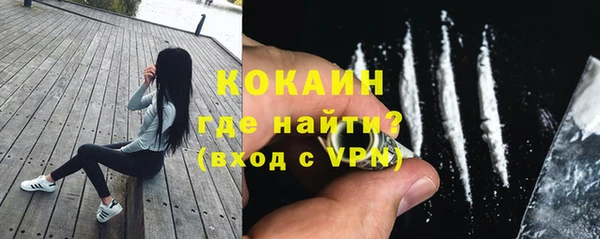скорость Болотное