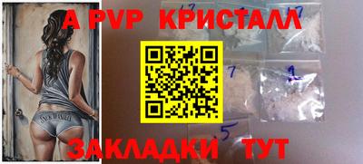 твердый Бийск