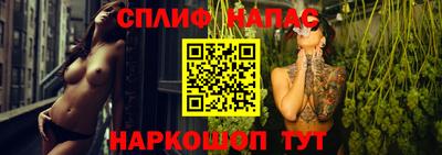 твердый Бийск