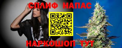 твердый Бийск