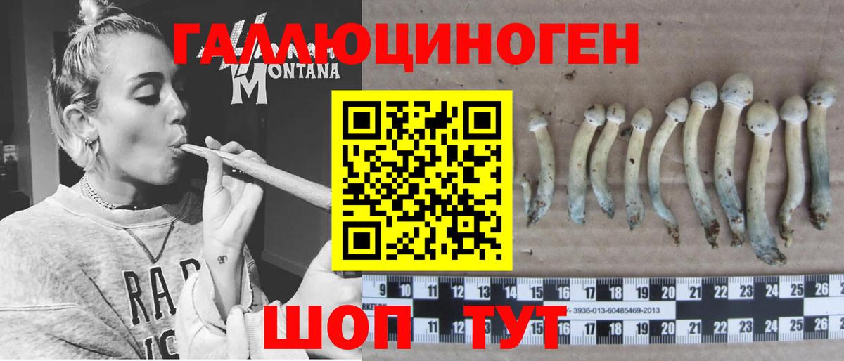 Галлюциногенные грибы MAGIC MUSHROOMS Борзя