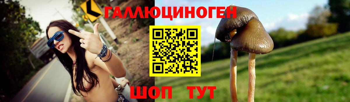 продажа наркотиков  Вход с VPN  Псилоцибиновые грибы мухоморы  Борзя  Галлюциногенные грибы ЛСД 